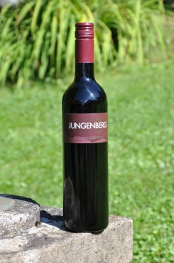 BLAUFRÄNKISCH Jungenberg Red 2017, 0,75l